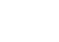 EAGLE Network logo